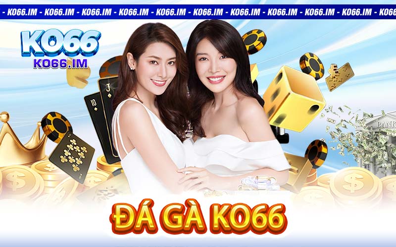 Đá Gà KO66